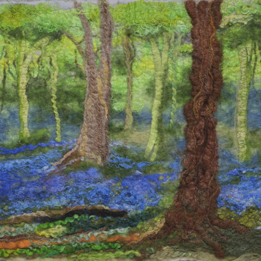 Bluebell Woodland picture