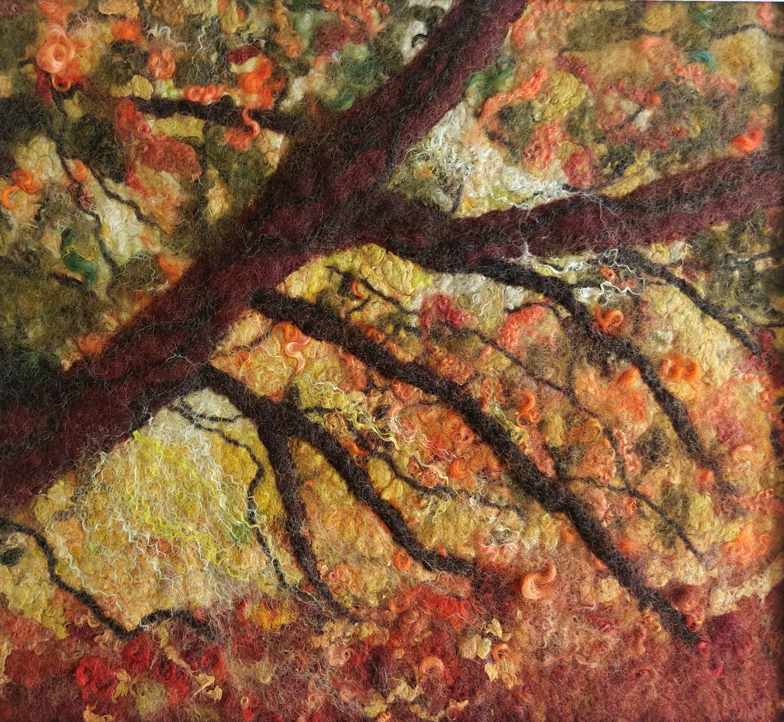 Glowing autumn canopy of a beech bough