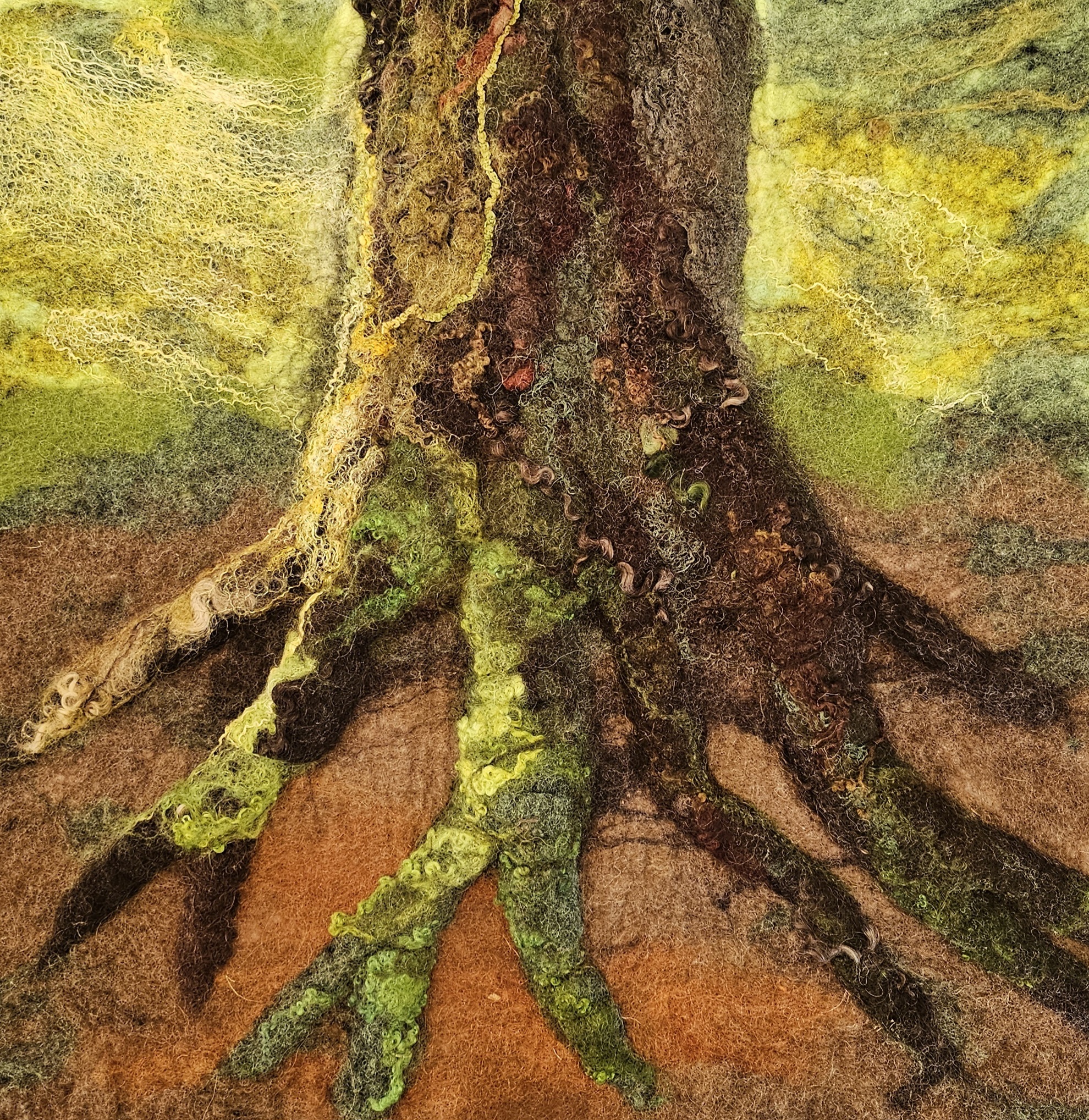Abstract picture of some tree roots